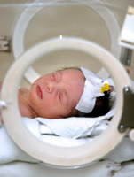 Premature baby in an incubator