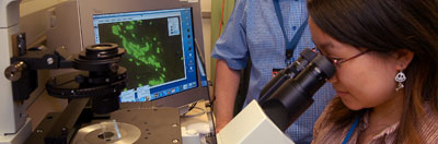 Girl looking in microscope