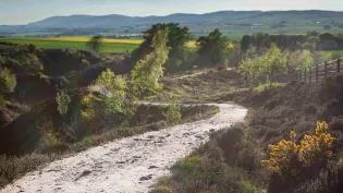 Image of a country walk