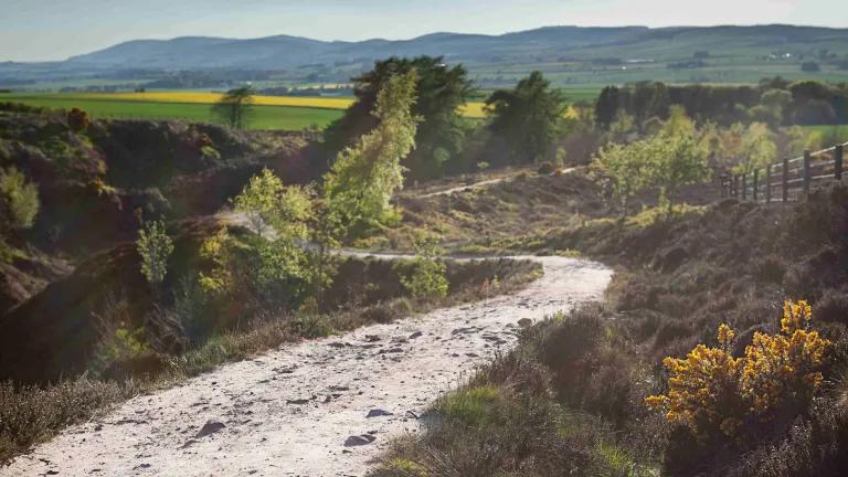 Image of a country walk