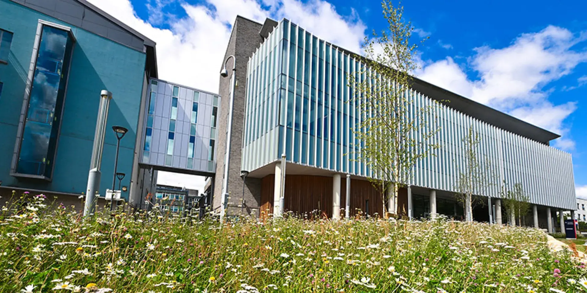 Exterior shot of the IGC building with flowers in the foreground