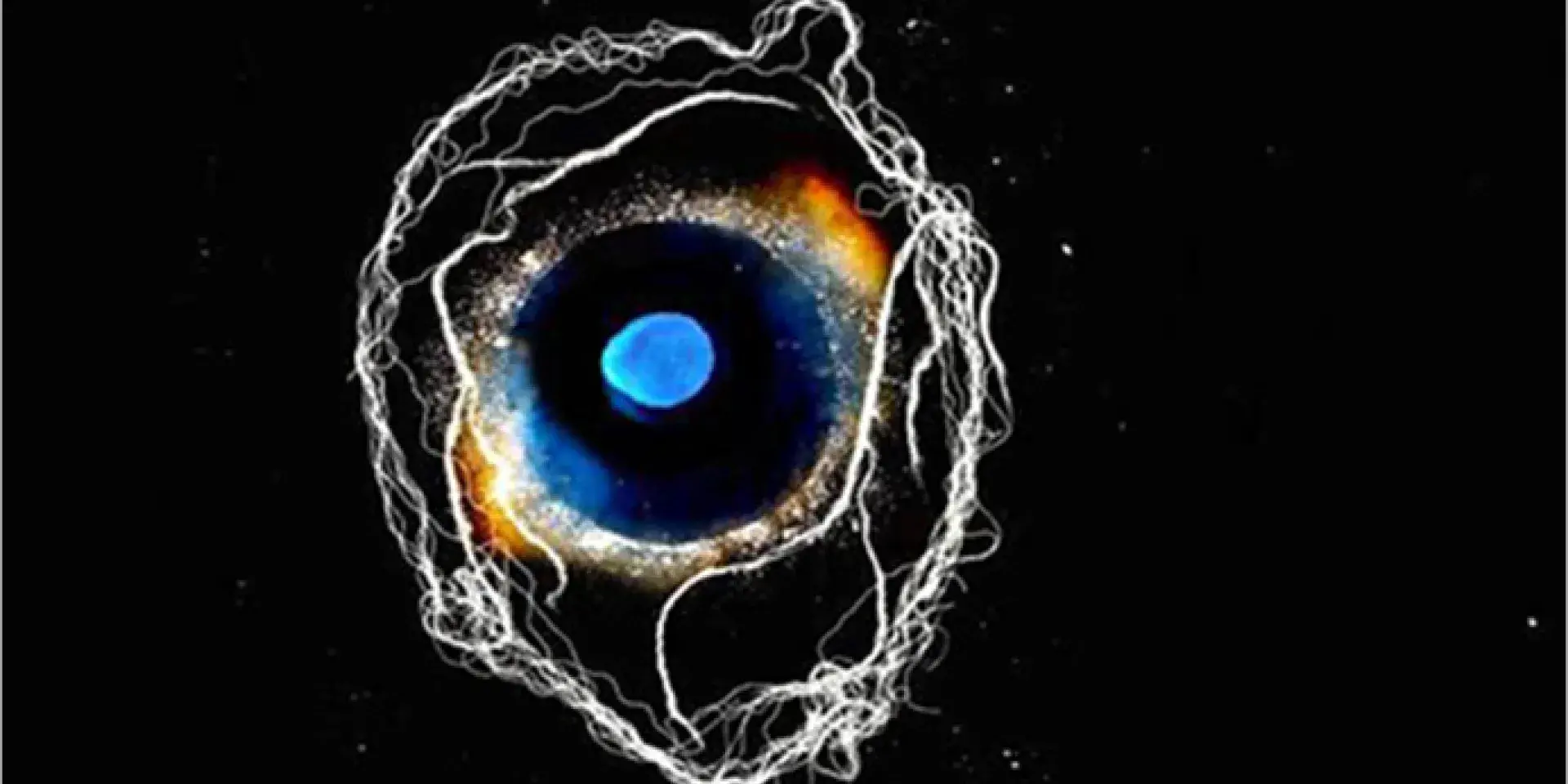 Close up photo of an eye pupil. Heartbeat 1′, Susan Aldworth 2010