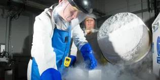 Dr Rod Mitchell removing a rack of clinical human tissue from the liquid nitrogen cryostorage tank.