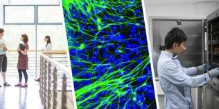 QMRI Lab decorative image