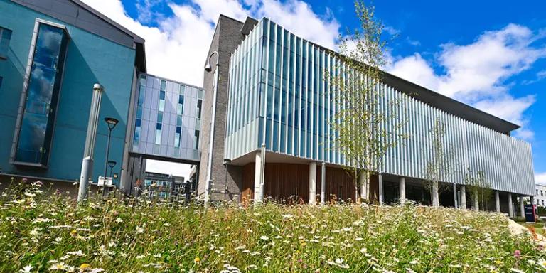 Exterior shot of the IGC building with flowers in the foreground