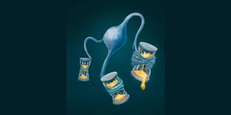 illustration of oligodendrocyte providing myelin to protect nerve cells