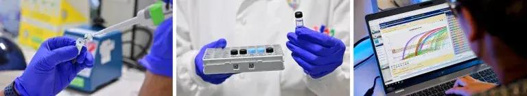 Institute for Neuroscience and Cardiovascular Research