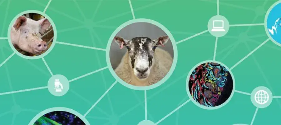 Picture of animals connected to internet and computer icons 