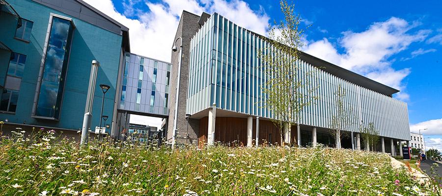 Exterior shot of the IGC building with flowers in the foreground