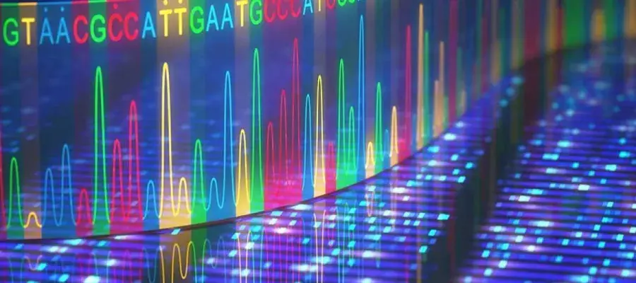 Genetics 2 900x600 - MSc Applied Conservation Genetics with Wildlife Forensics