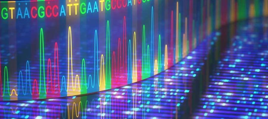 Genetics 2 900x600 - MSc Applied Conservation Genetics with Wildlife Forensics