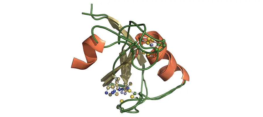 IGC proteomics