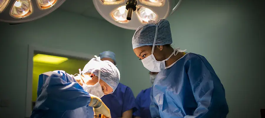 Veterinary surgeons_900x400_NK