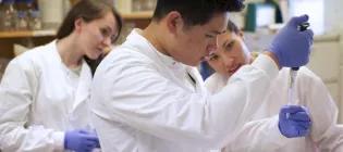 Science Insights decorative image