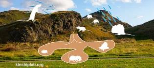 Neurobiology of natural behaviour