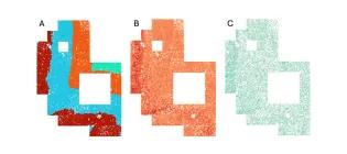Using spatial transcriptomics we show the distance from a brain bleed (A) is associated with both protective (B) and harmful (C) immune responses.