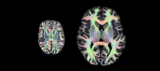 Jennifer Brown Research Laboratory