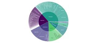 A systematic online living evidence summary of lacunar stroke research: outcomes reported (credit Daria Gramenitskaya).