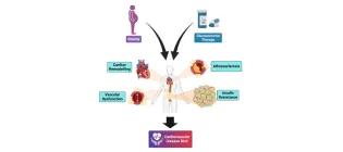Mark Nixon Research Image