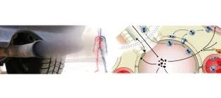 The microscopic particles in diesel exhaust have adverse effects throughout the cardiovascular system, through many different biological mechanisms.