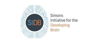 Simons Initiative logo 900x400