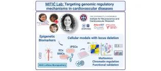 Pre-clinical research approaches and collaborative networks in place. Current lab members: C. O'Reilly, M. Usman, M. Chevalier and T. Mitić.