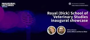 Purely decorative background with the words "Inaugural showcase"