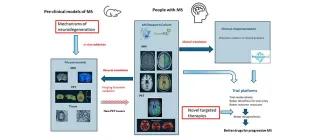 Schema showing uses of advanced imaging for understanding disease mechanisms, clinical management and therapeutic trials in multiple sclerosis.