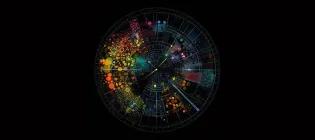 Representation of 24-hour radar sleep data collection in a person with bipolar disorder.