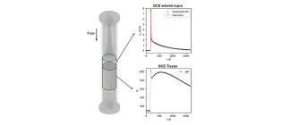 3D-printed MRI phantom generating realistic tissue and vascular dynamic signals following injection of contrast agent.