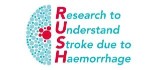 Rustam Al-Shahi Salman leads this research group