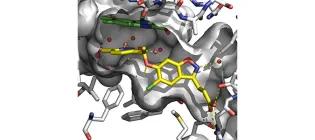 X-ray of small molecule inhibitor bound to human KMO.