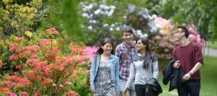 A group of four students walking through the botanic gardens