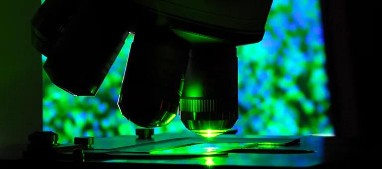 Our research institutes decorative image