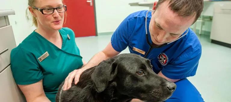 The Royal (Dick) School of Veterinary Studies