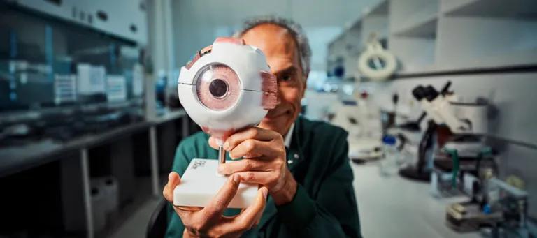 The eye is a biological barometer of neurovascular health and a window to the brain.
