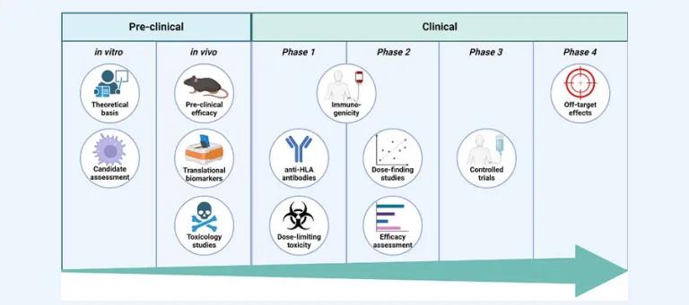 The process of taking new blood tests and drugs from the laboratory into patients