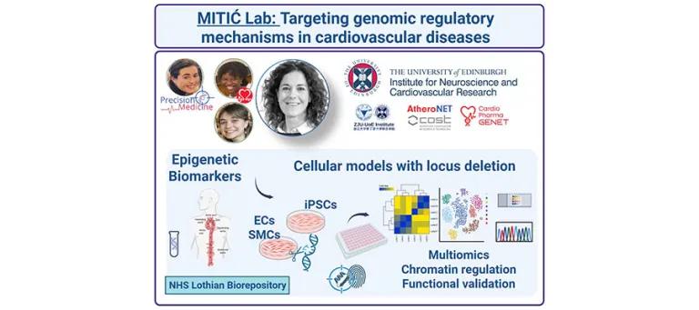 Pre-clinical research approaches and collaborative networks in place. Current lab members: C. O'Reilly, M. Usman, M. Chevalier and T. Mitić.