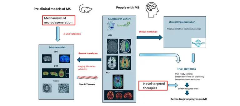 Schema showing uses of advanced imaging for understanding disease mechanisms, clinical management and therapeutic trials in multiple sclerosis.