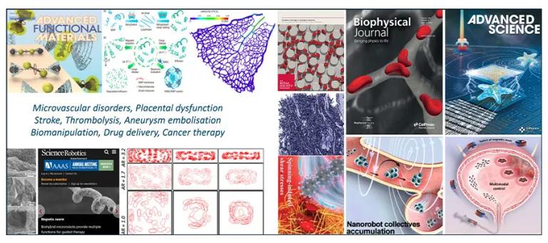 Research in microvascular blood flow, placental structure-function, stroke & aneurysm treatment, bioinspired swimmers and medical microrobots.