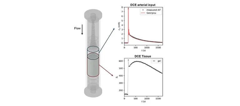 3D-printed MRI phantom generating realistic tissue and vascular dynamic signals following injection of contrast agent.