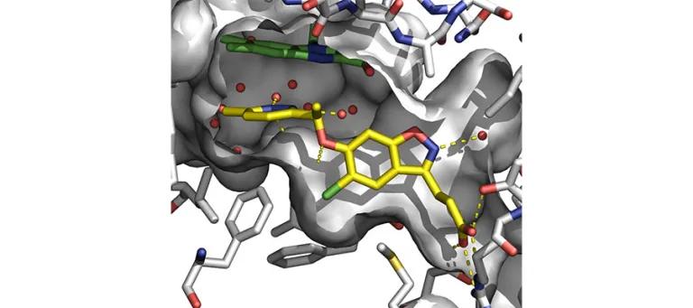 X-ray of small molecule inhibitor bound to human KMO.