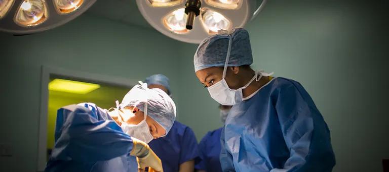 Veterinary surgeons_900x400_NK