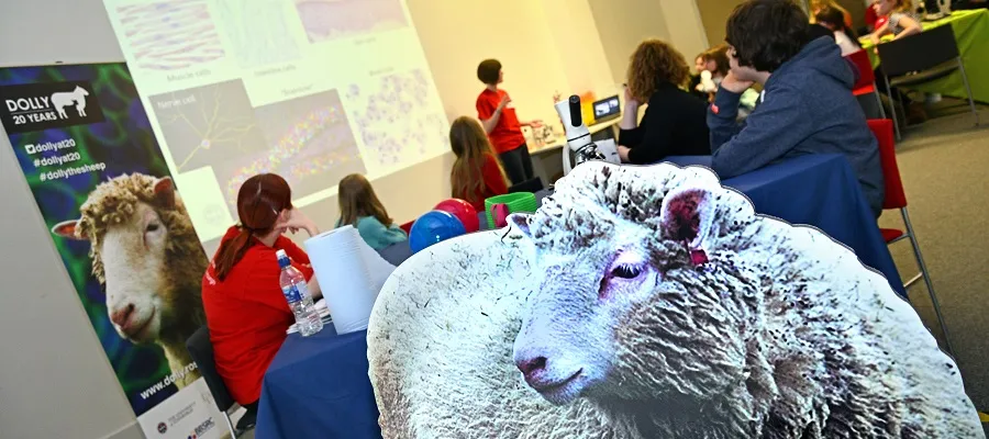 Participants at the Dolly, DNA and Me workshop