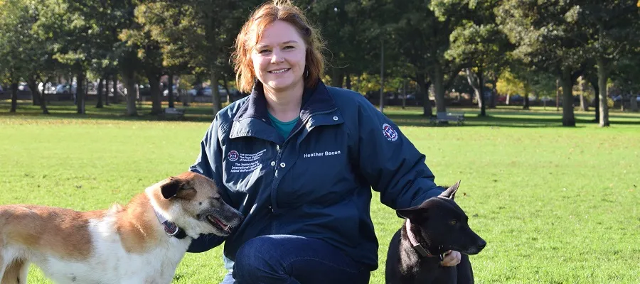 Heather Bacon with her rescued street dogs