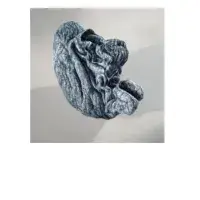 Photo of a page (showing the photo of a grey sculpture) of the Exhibition Catalogue of the Extreme Imagination exhibition 2019