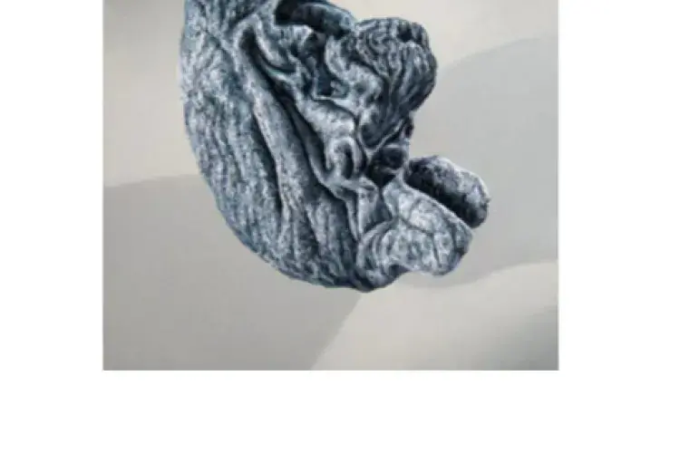 Photo of a page (showing the photo of a grey sculpture) of the Exhibition Catalogue of the Extreme Imagination exhibition 2019