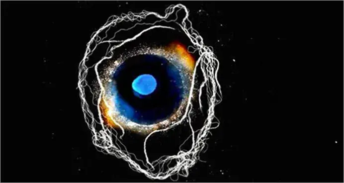 Close up photo of an eye pupil. Heartbeat 1′, Susan Aldworth 2010