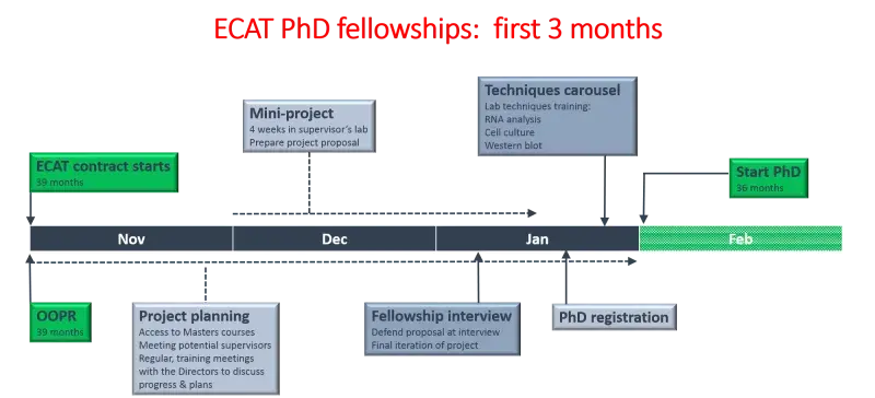 Diagram showing first three months of ECAT PhD fellowship