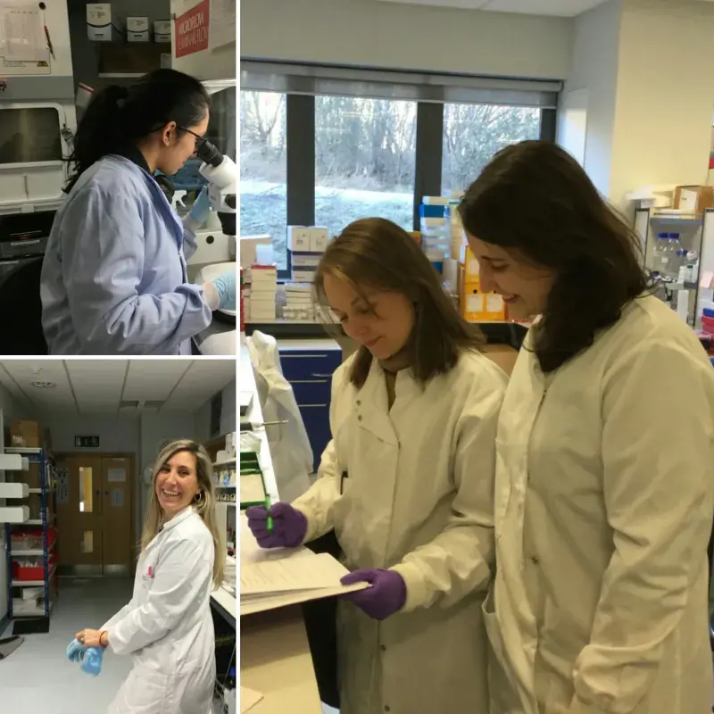 Miron Lab